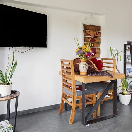 Schwarzwaldflair Mit Eventraum Apartment